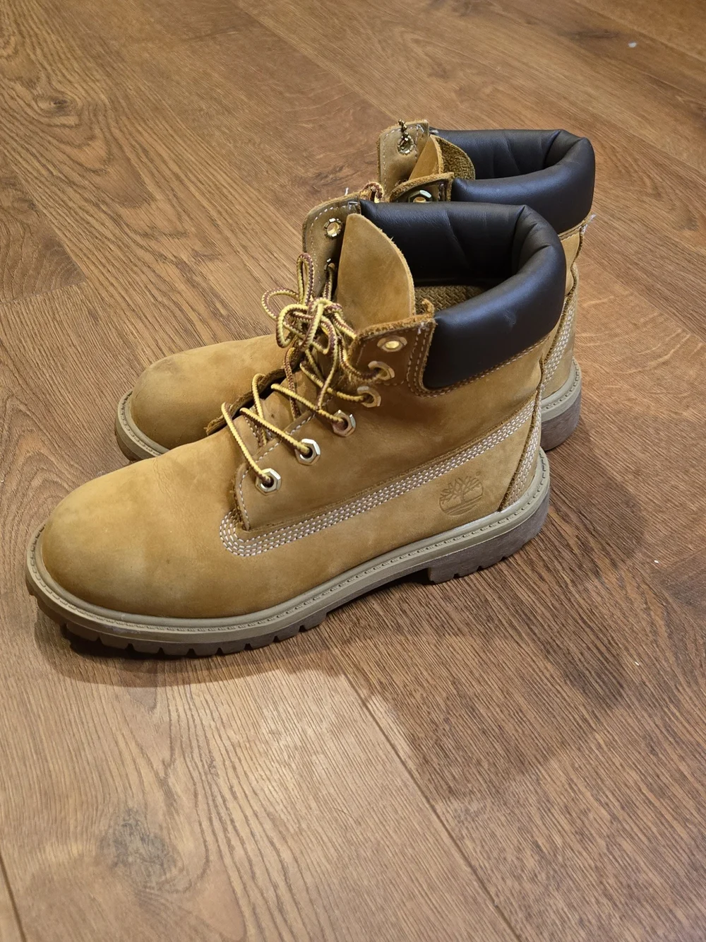 Timberland 6